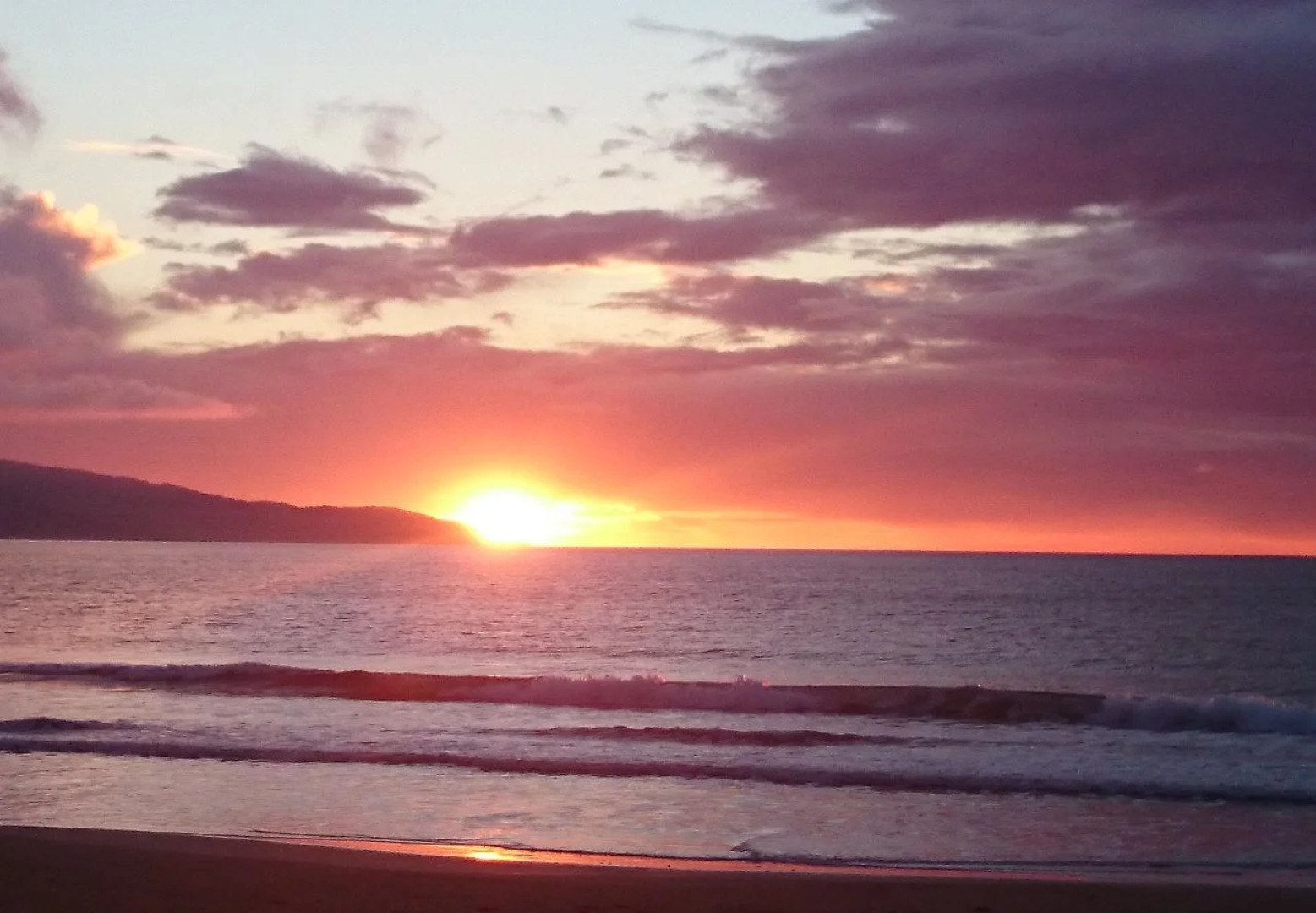 The Dolphin Apartments