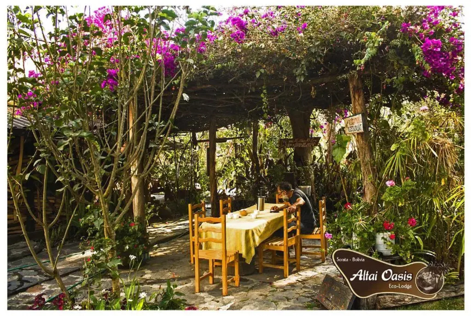 Altai Oasis Eco lodge