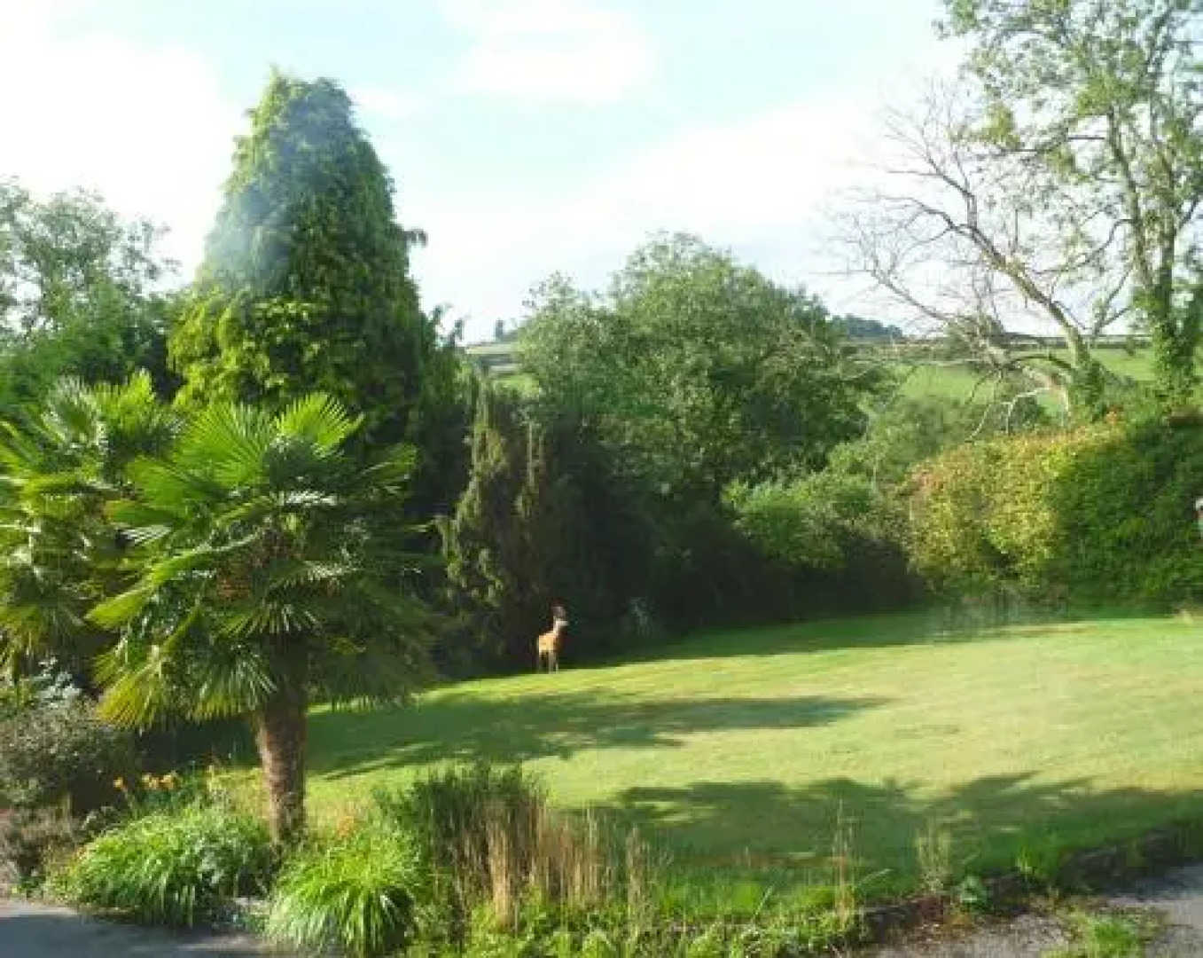 Lavender Cottage Bed & Breakfast