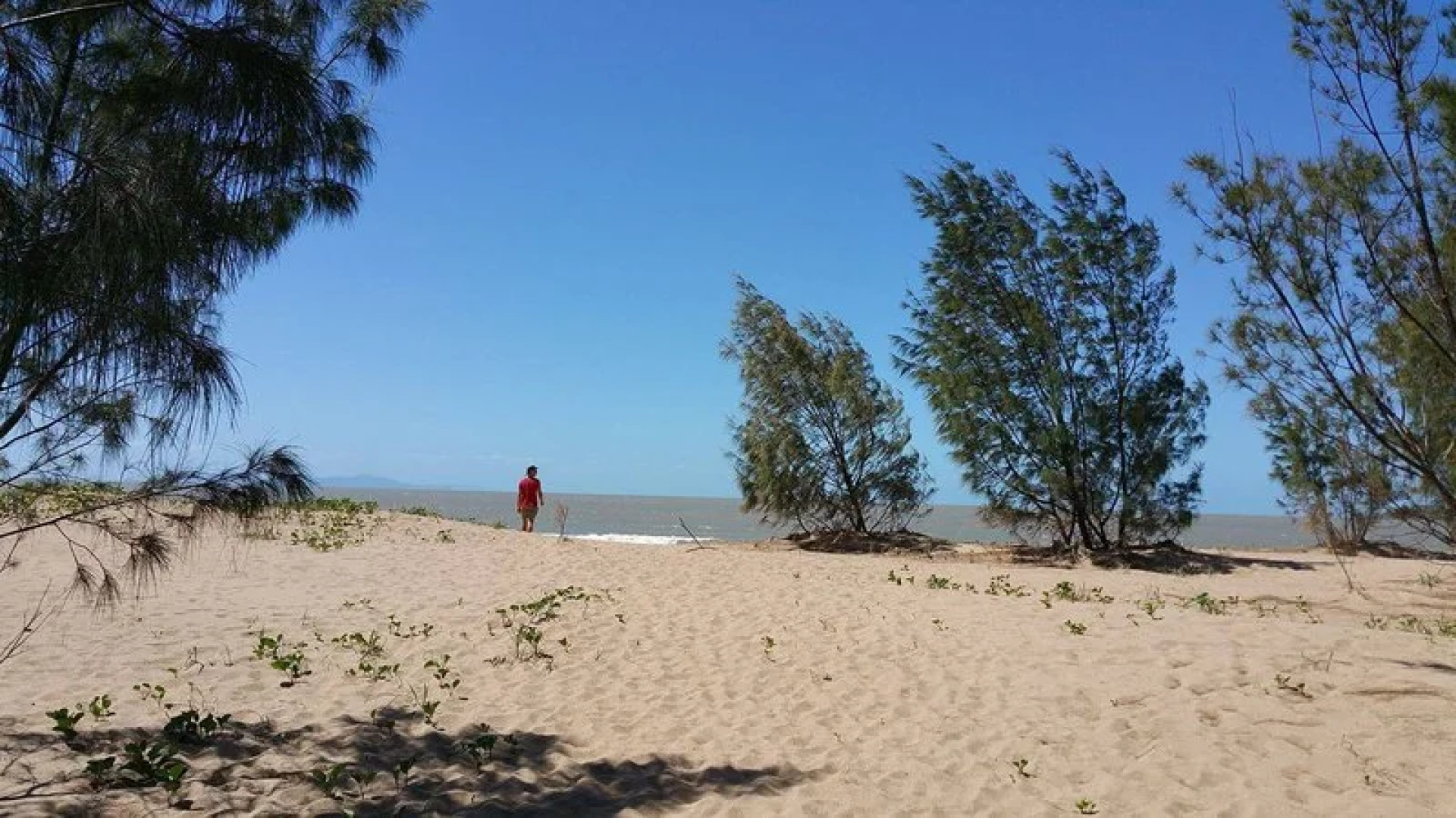 The Shores Holiday Apartments