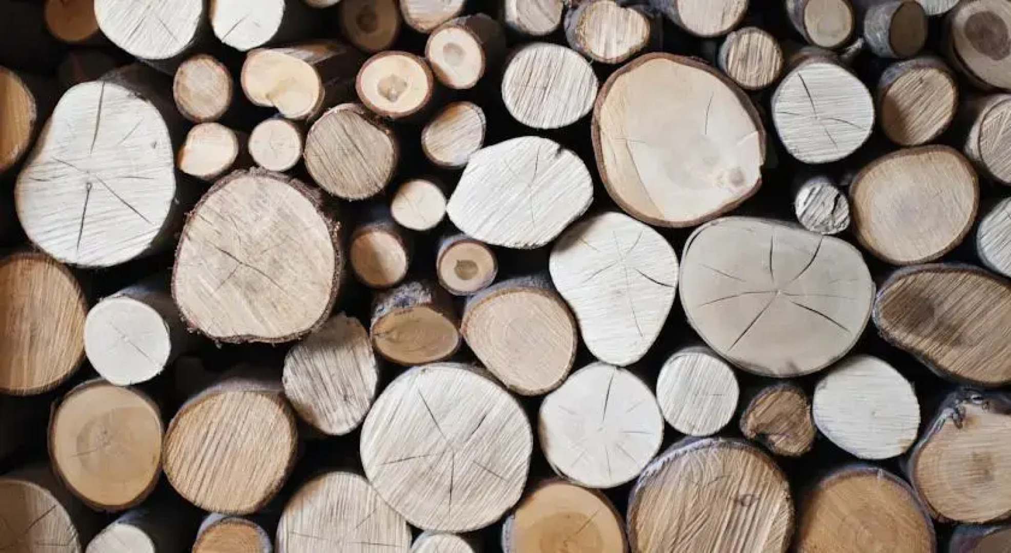 The Old Vicarage Boutique Hotel