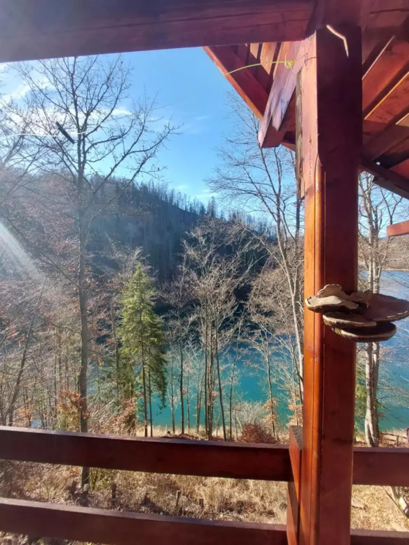 Big and Little Heaven Apartments