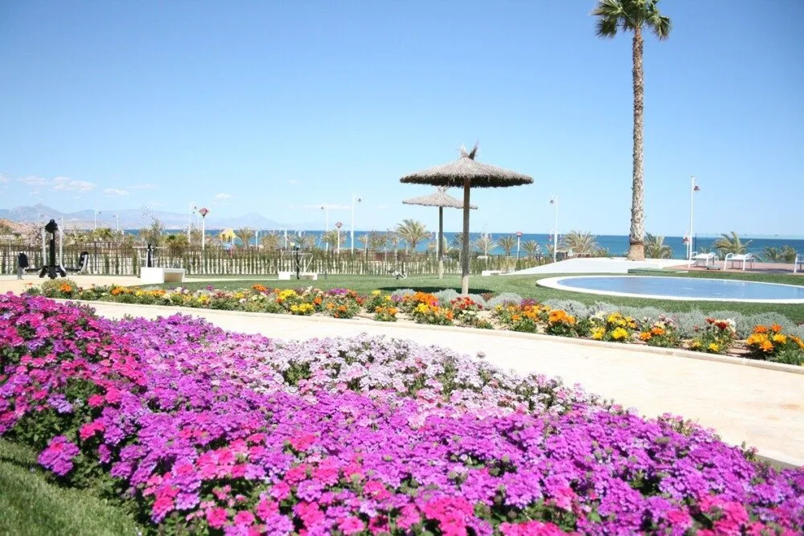 Ocean View Apartment