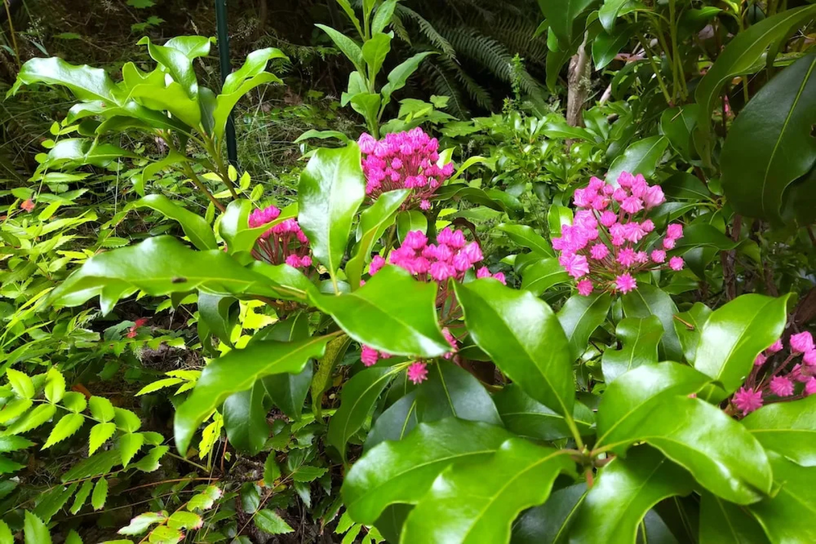 The Shed at Moon Dance