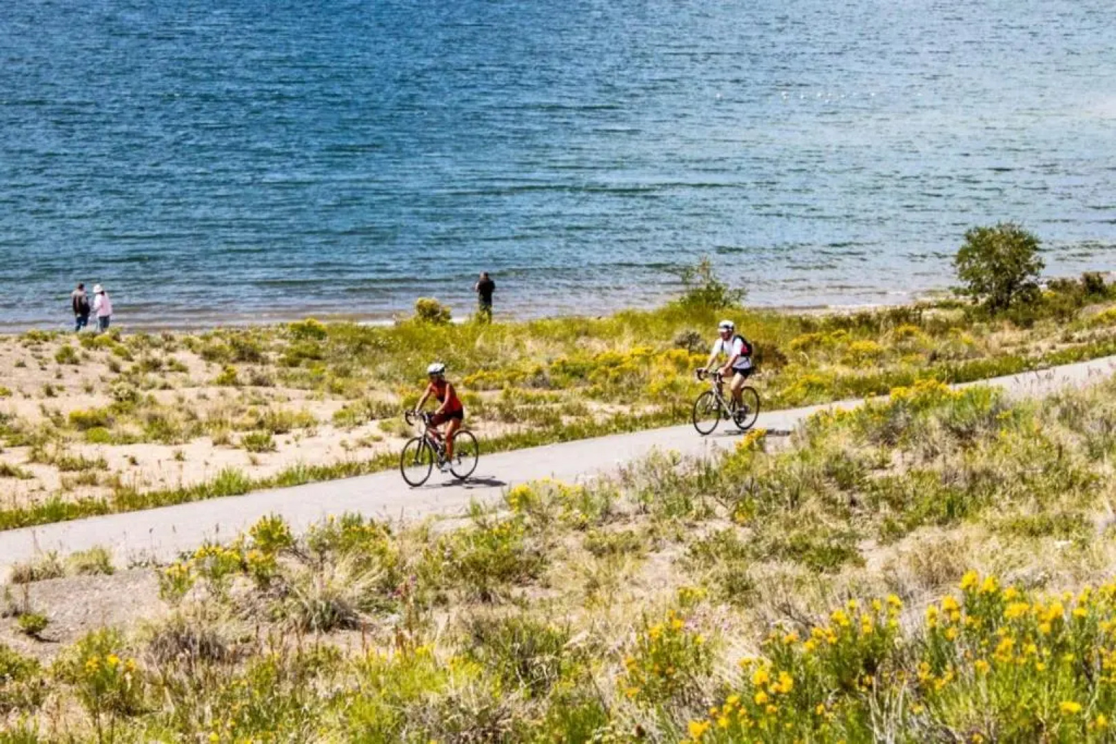Red Hawk Lodge by Summit County Mountain Retreats