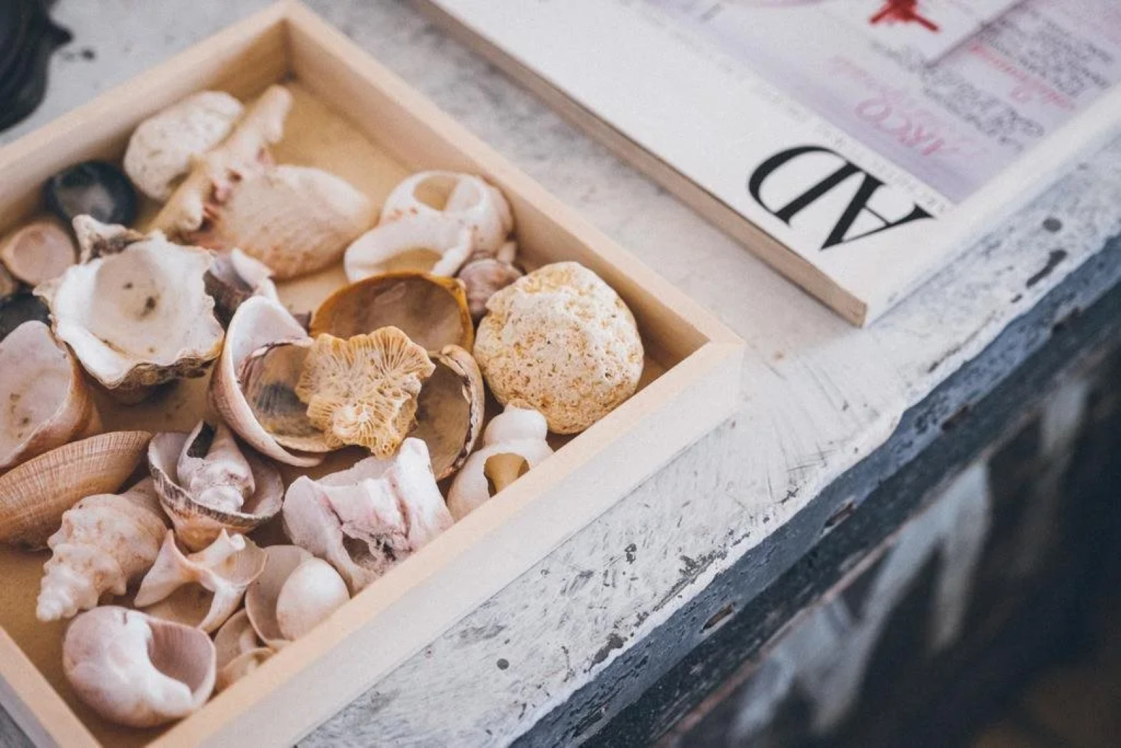 Posada La Primera Sonrisa