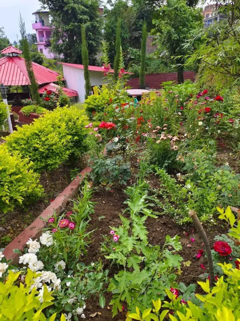 The Pines Mountain View