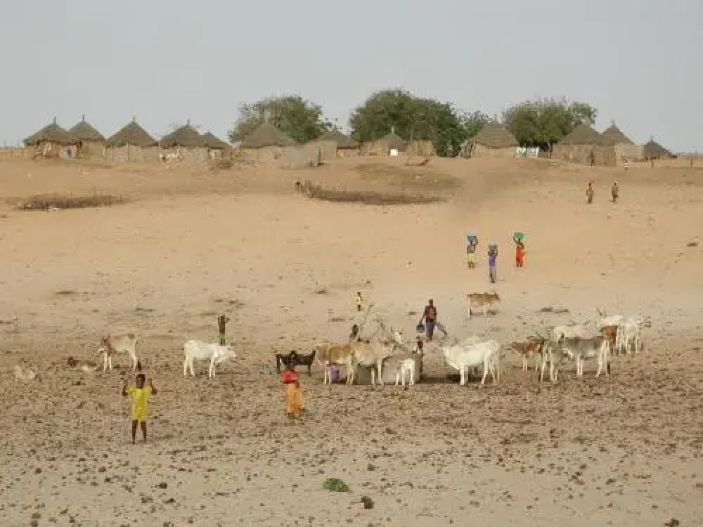 Camp Du Désert – Esprit d’Afrique