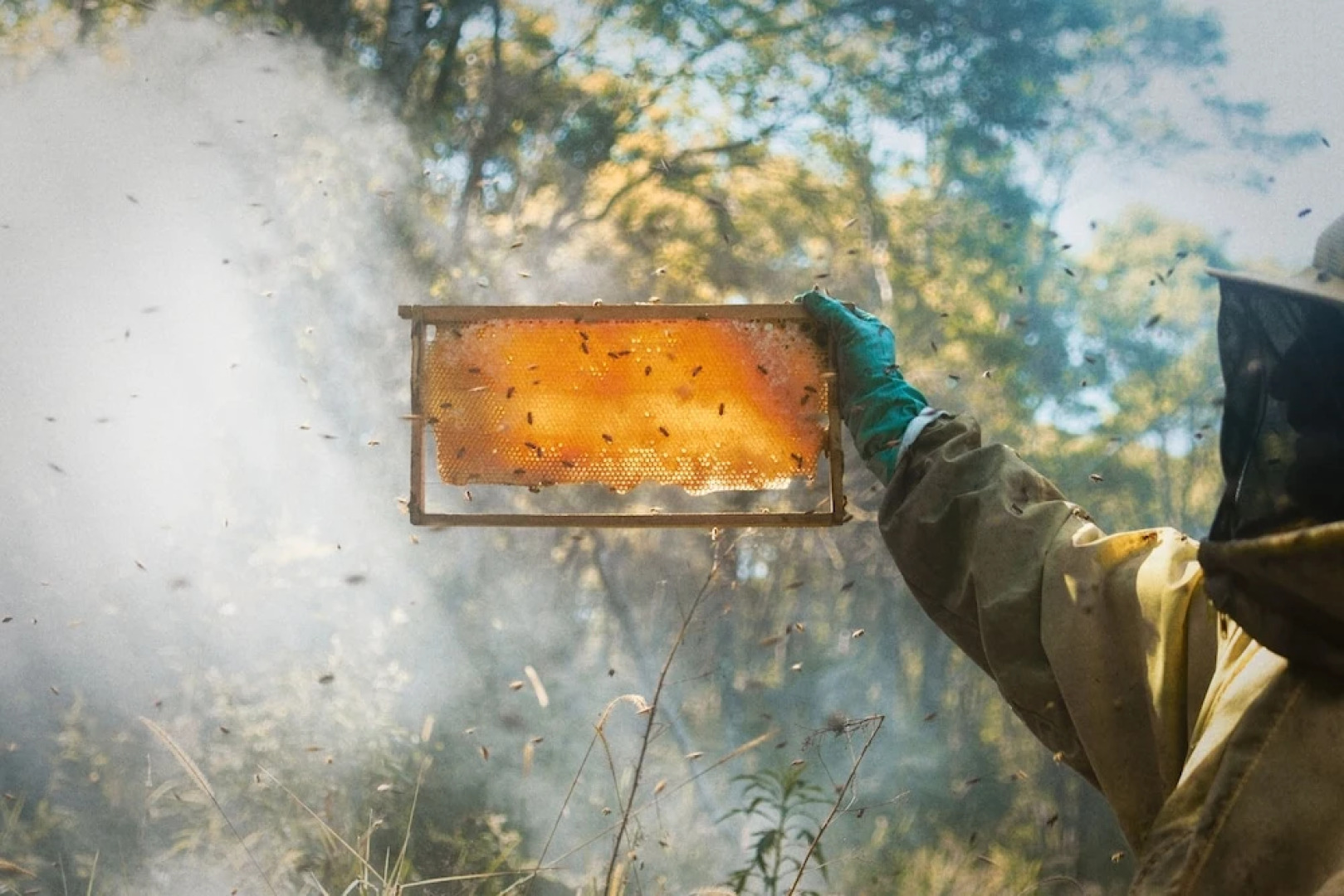 Hotel Fazenda Morros Verdes Ecolodge