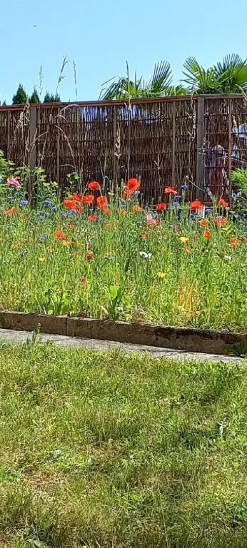 Ferienwohnung Jarenatanne