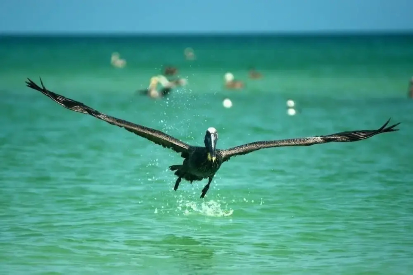 Casa Mia El Cuyo Eco Beach Boutique