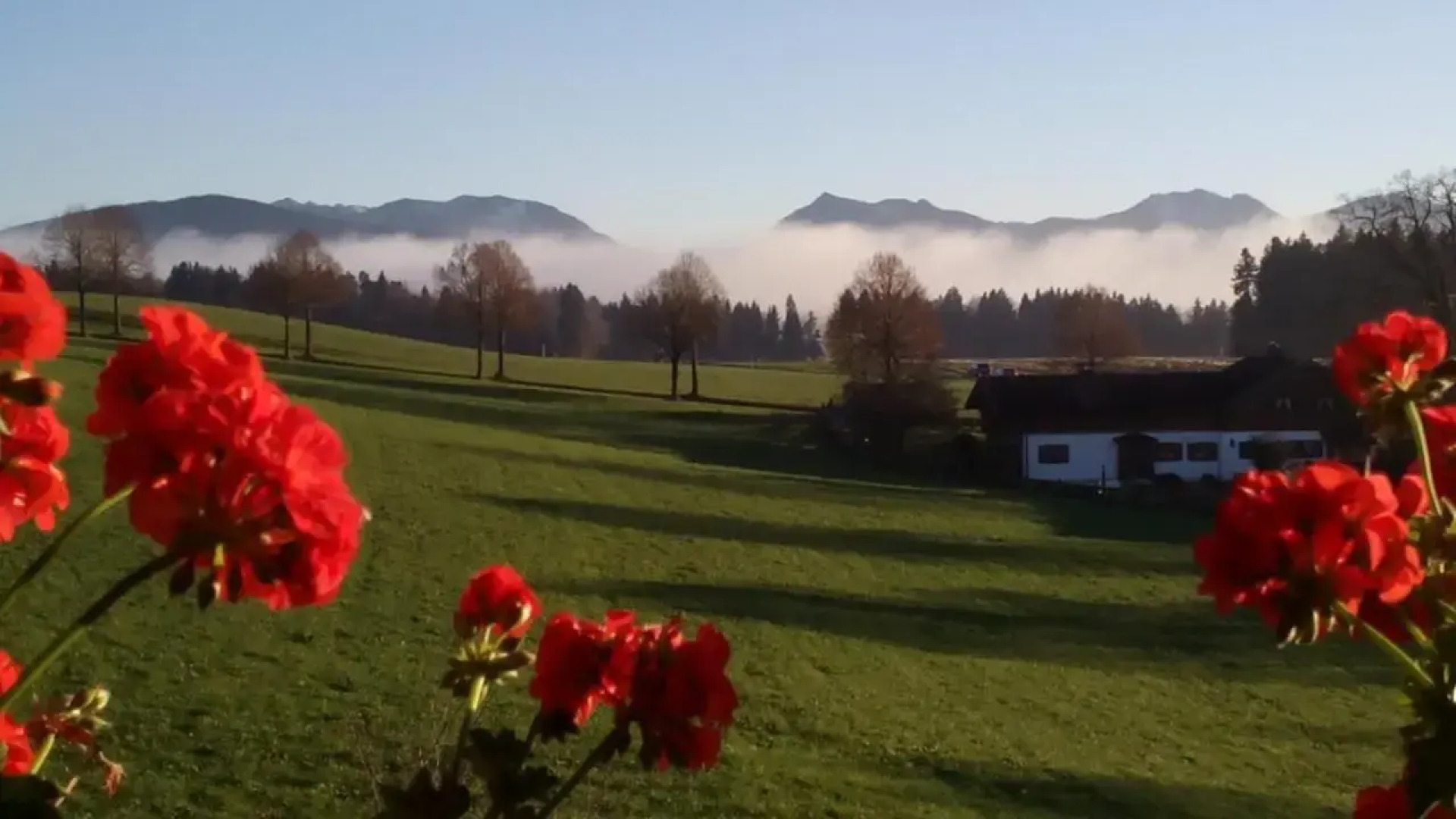 Ferienwohnung Elisabeth