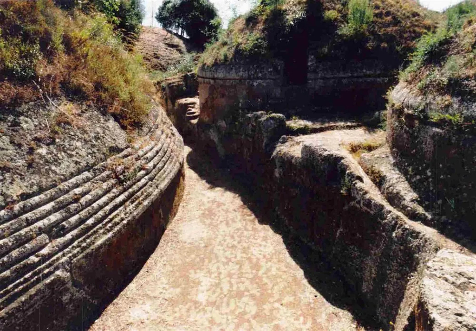 Agriturismo Casale di Gricciano