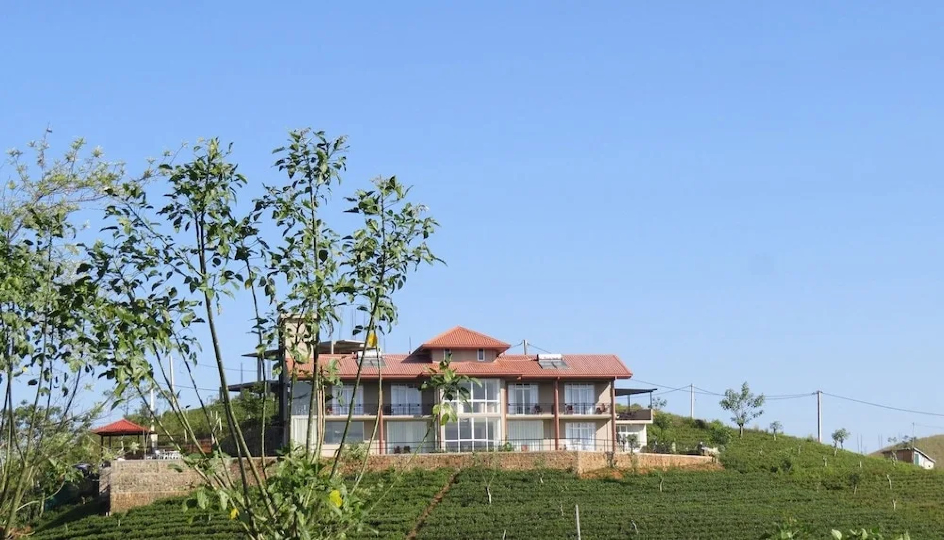 The Harrington Heritage Bungalow