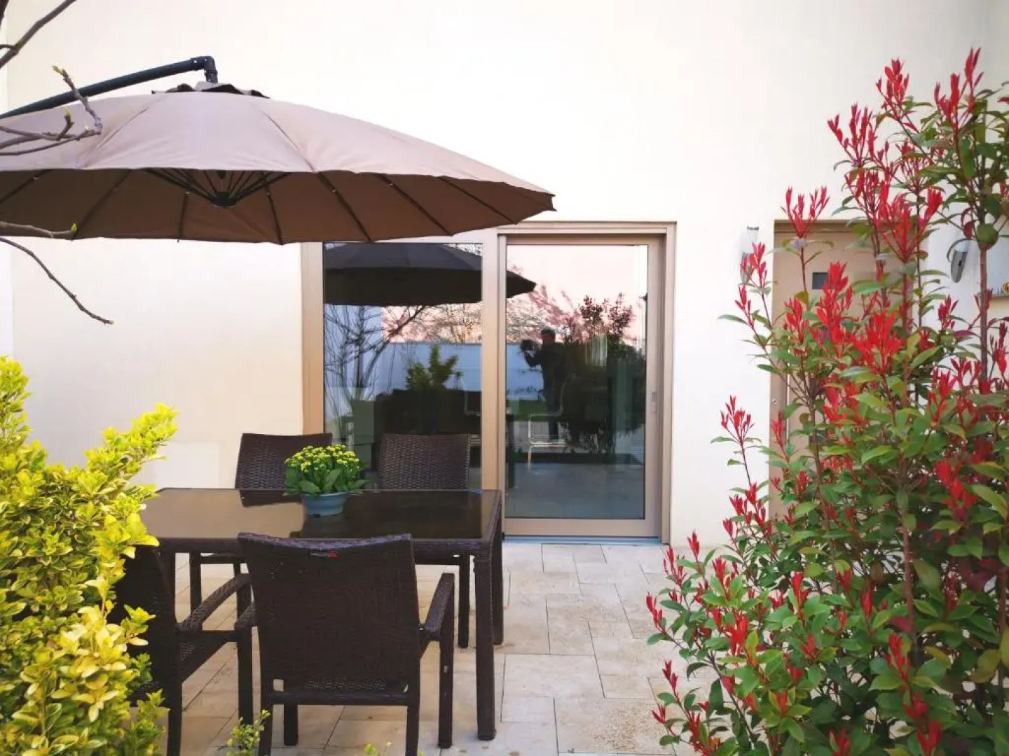 Pannonia Appartements