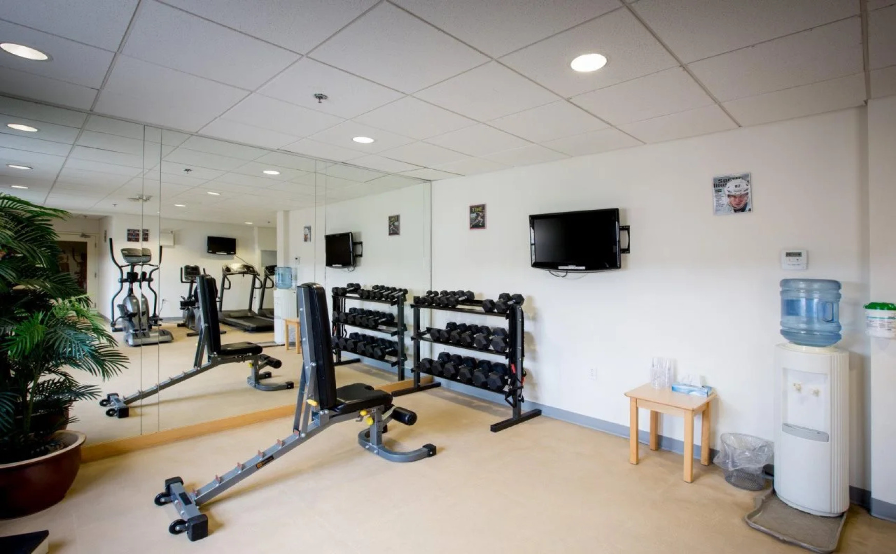 Holiday Inn Express Stellarton by IHG