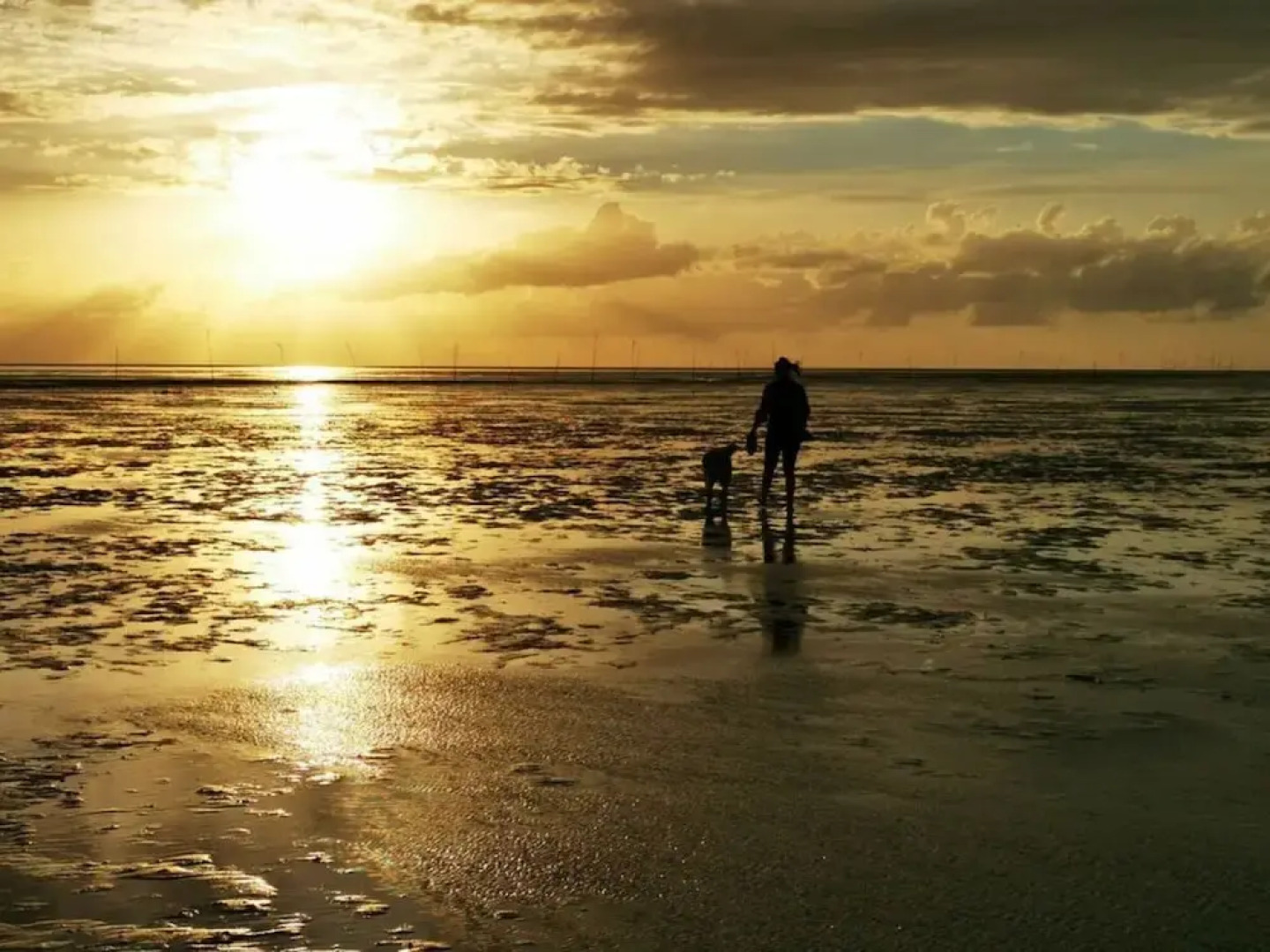 Sun, Mudflats and sea