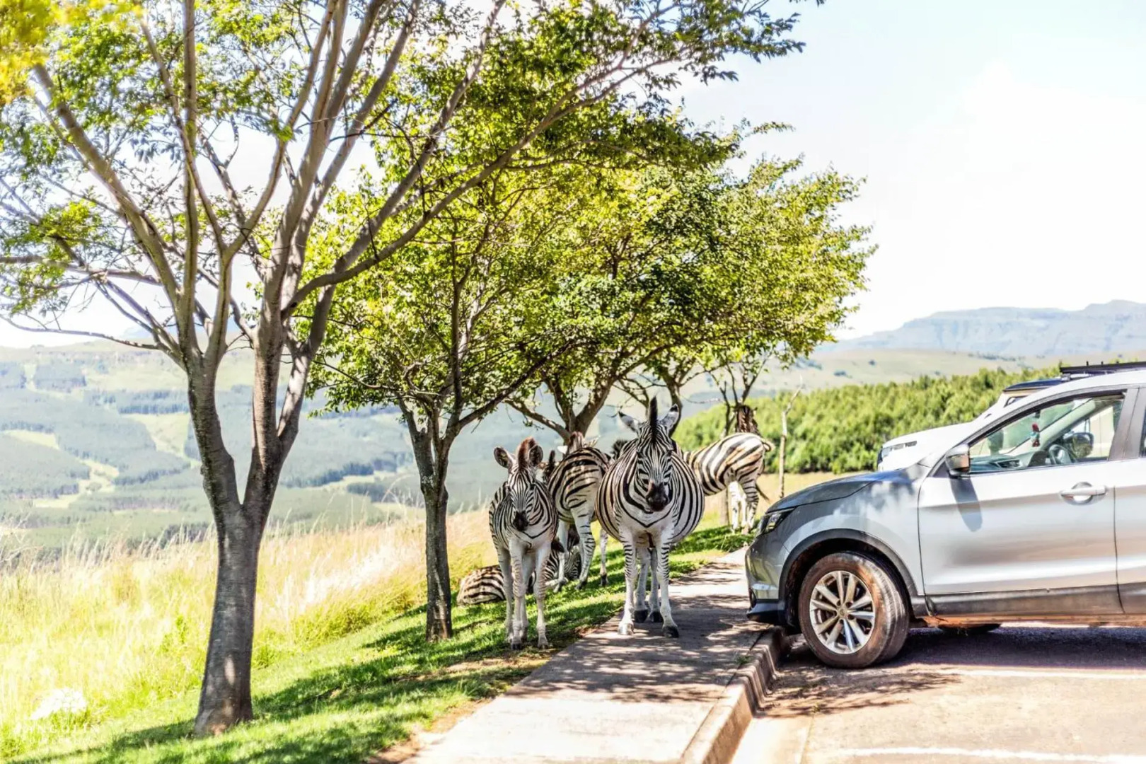 Serenity at Cathkin Estate, Central Drakenberg