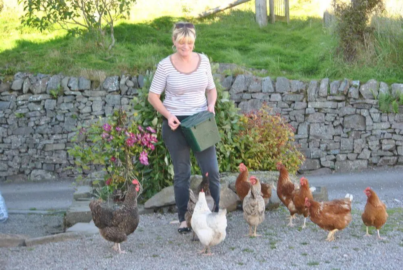 Airds Farm Guest House