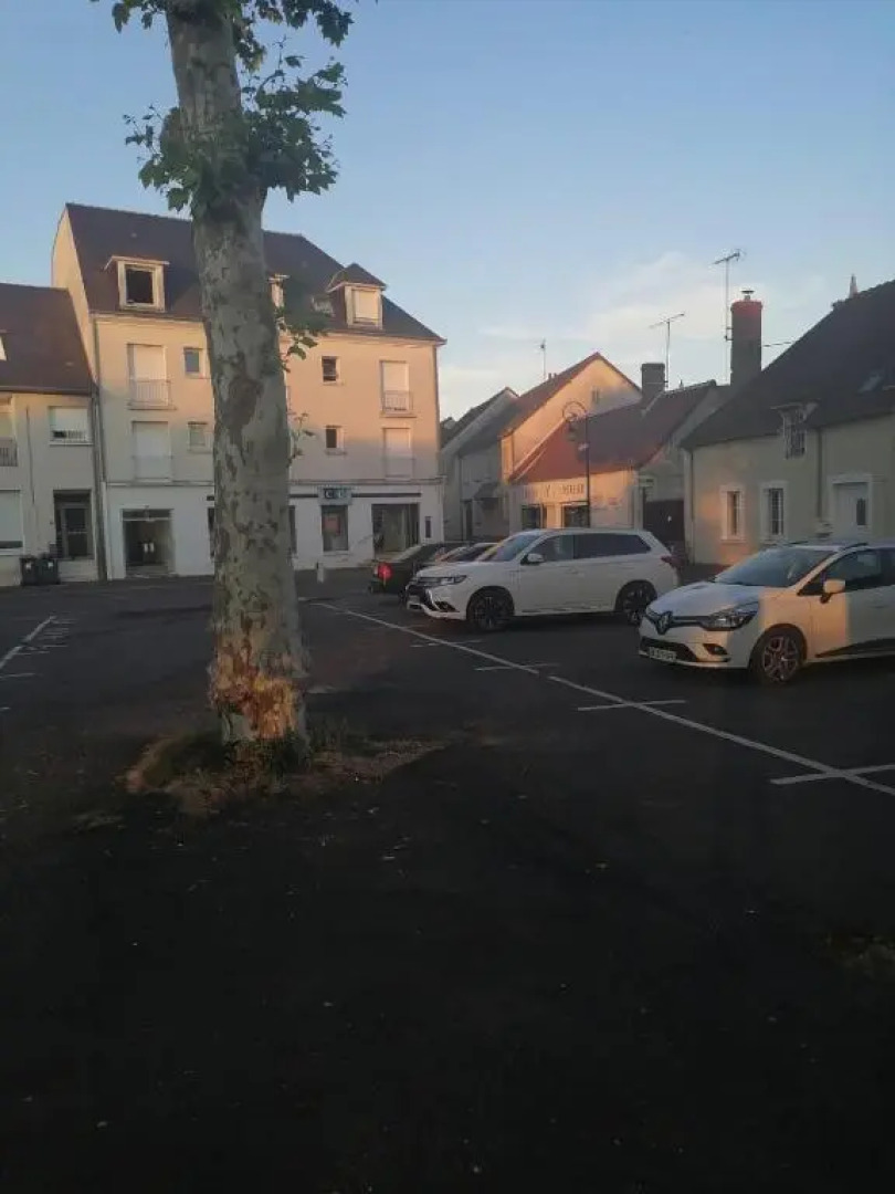 Gîte cosy la Mosaïque, à Selles-sur-Cher, 15 mn du zoo Beauval