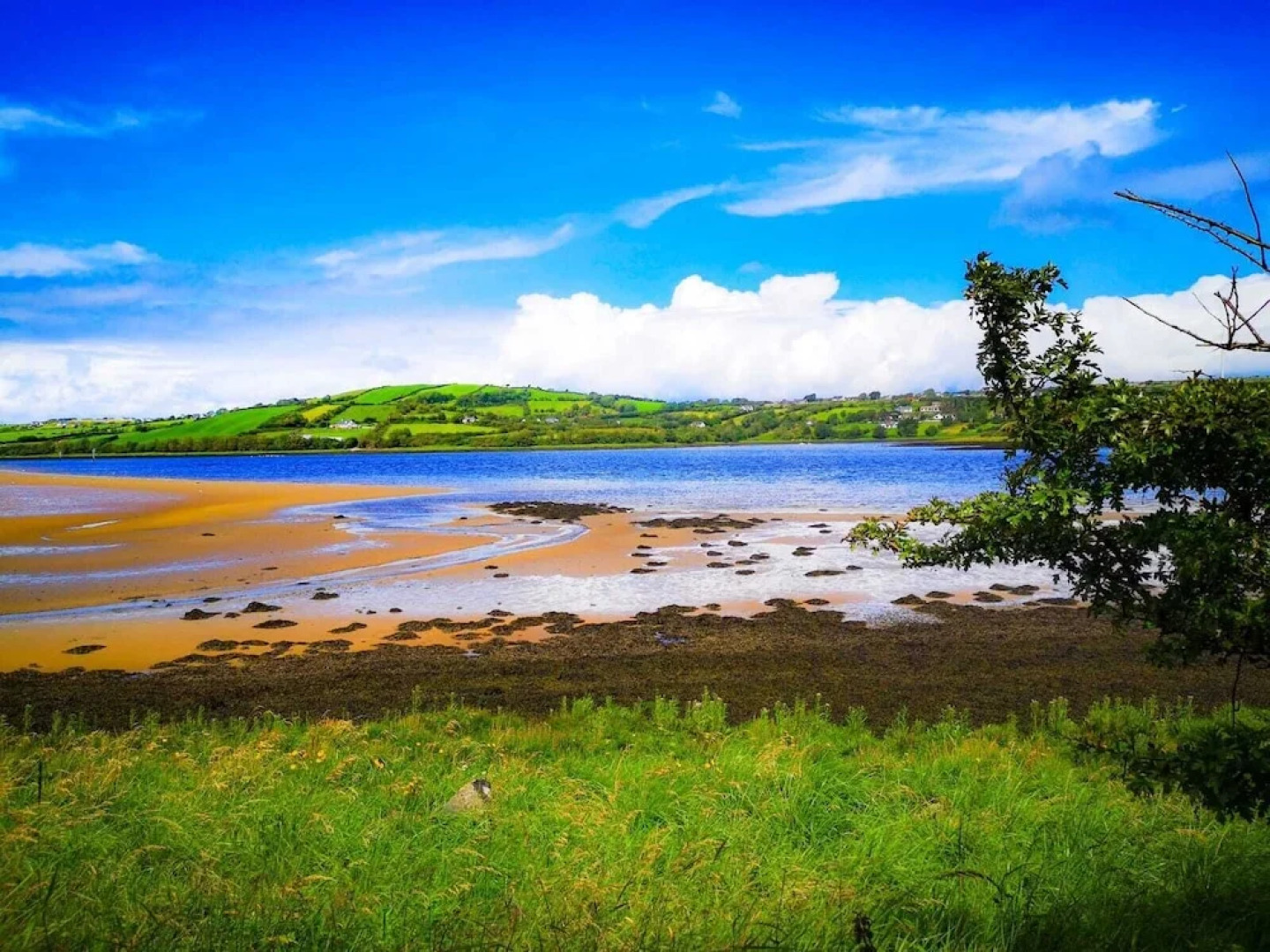 The Snuggly Sheep Shepherd Hut Campview Farm Stay
