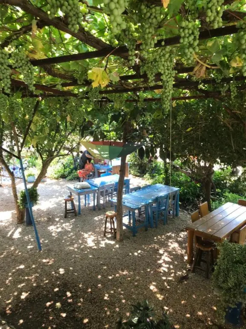 Senayablaevpansiyonculuk