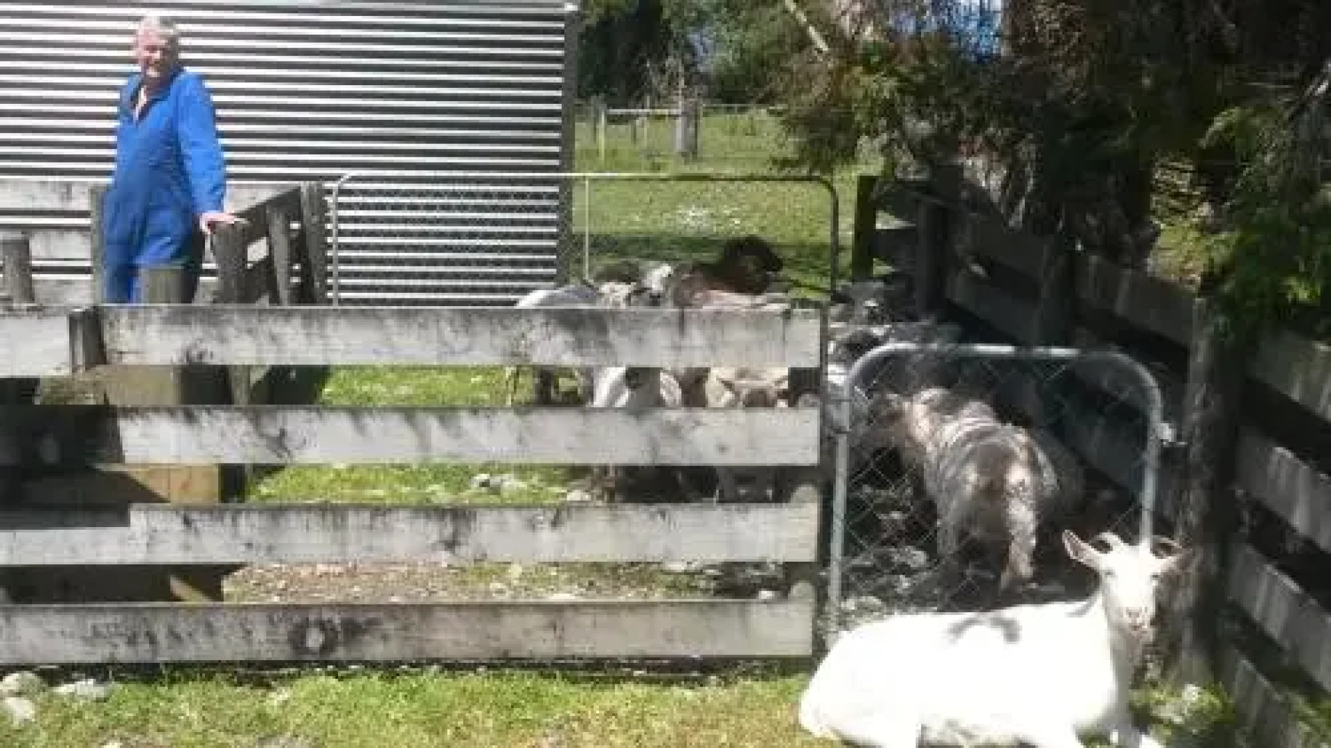 154 Kaniere Road Accommodation