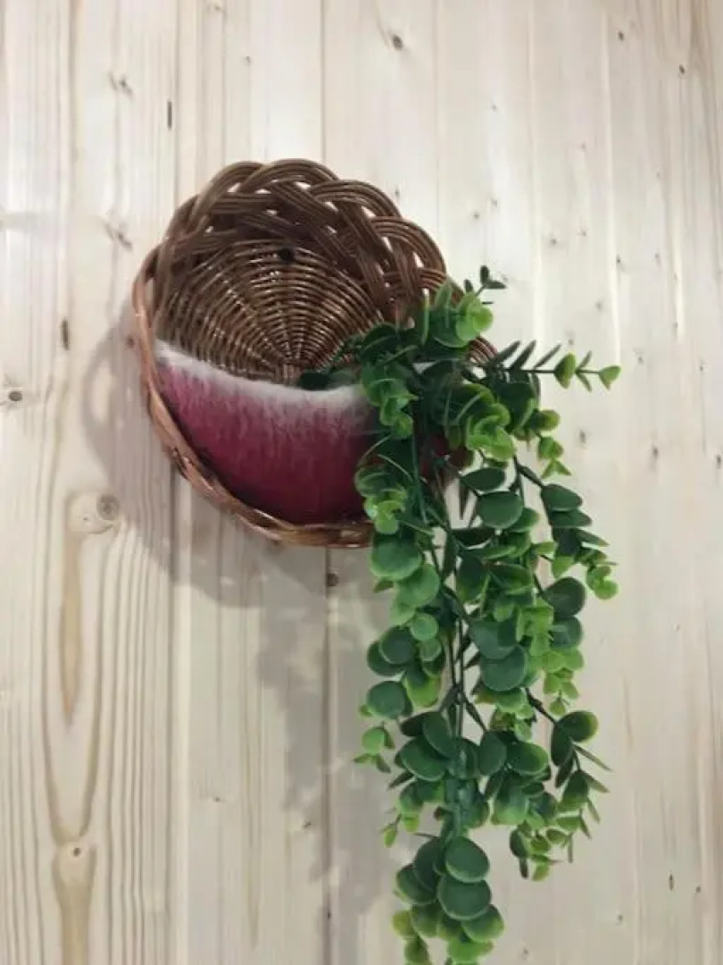 Rústico T1 no centro cidade