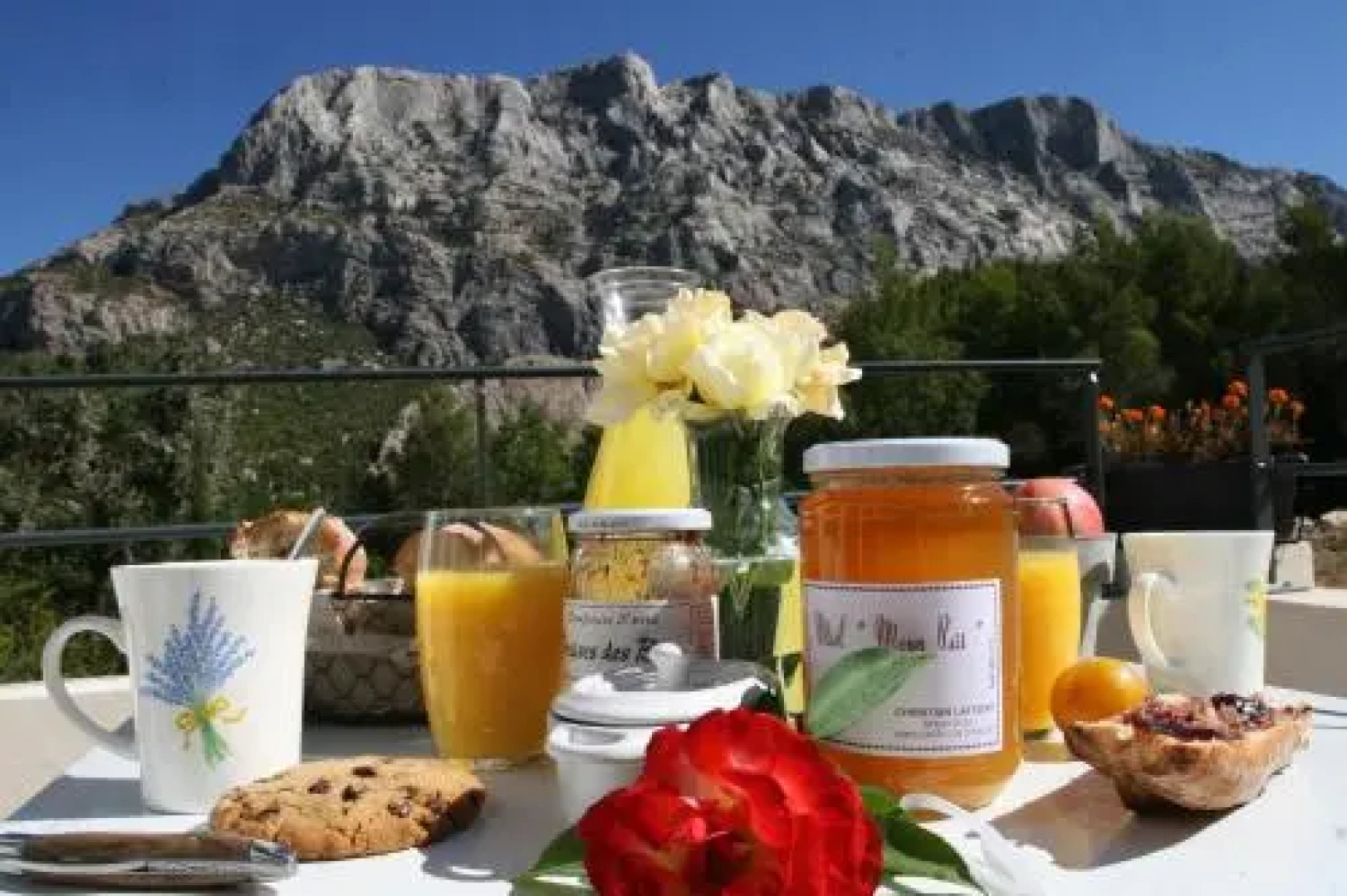 Villa Sainte Victoire Aix en Provence