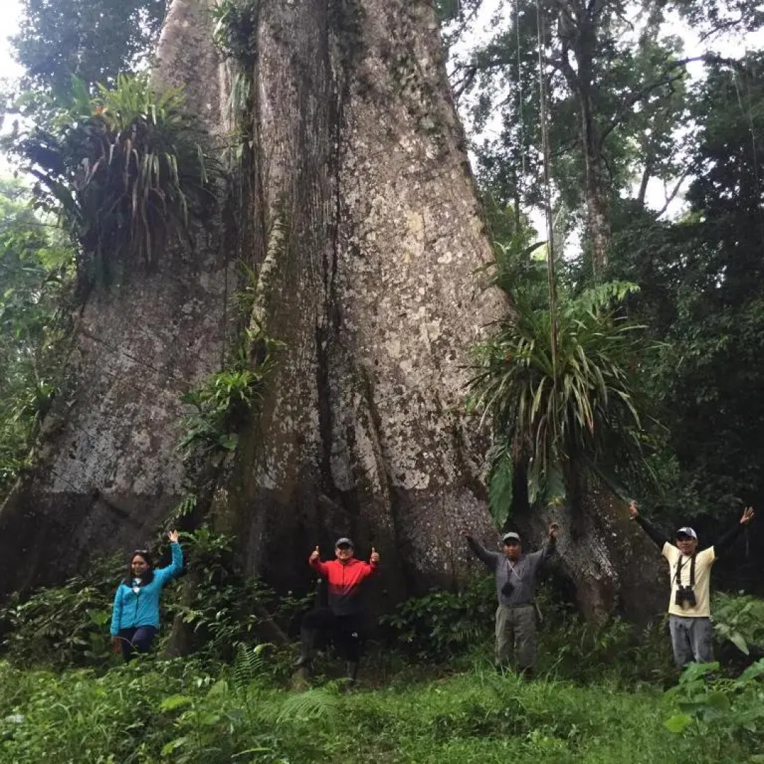 Jacamar Lodge Expedition