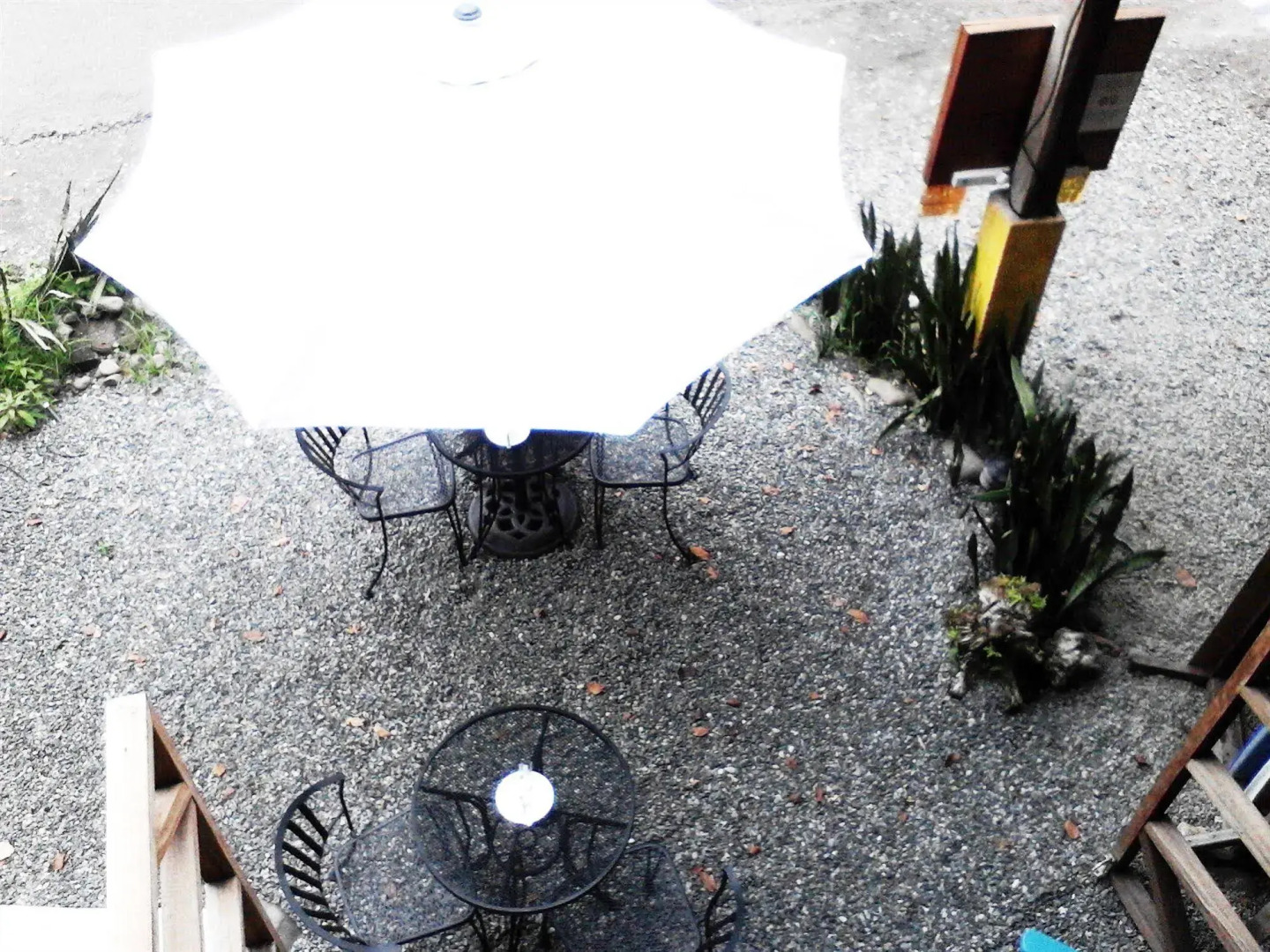 Lizard King Hotel & Suites