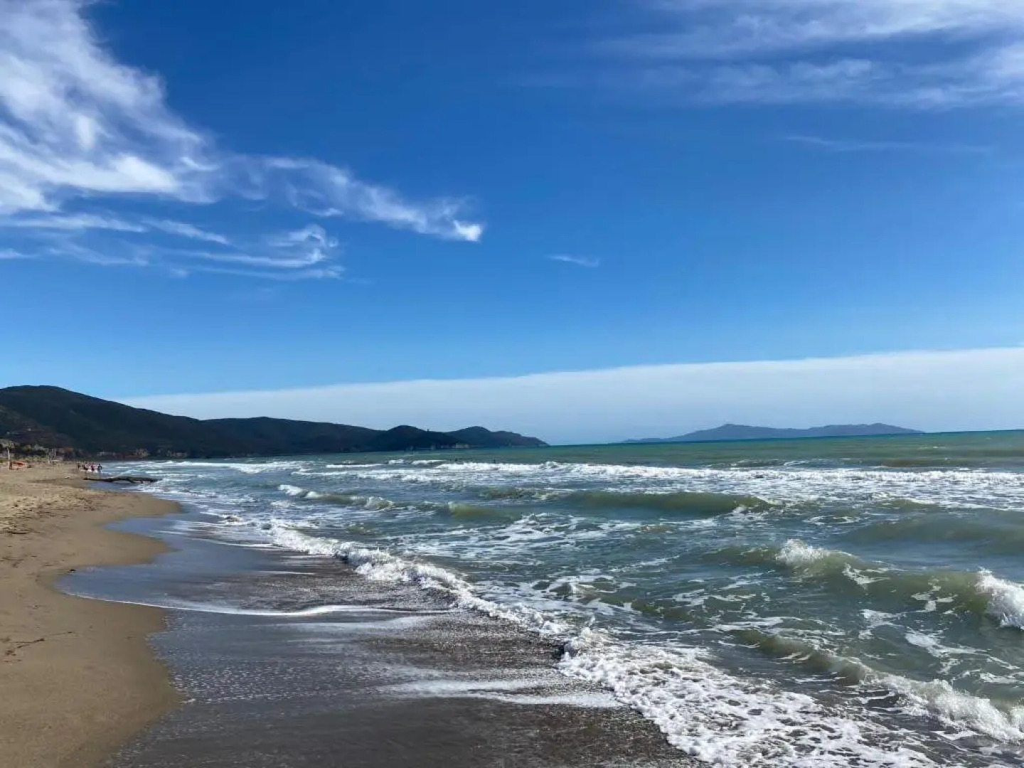 Artemisia negli ulivi B&B