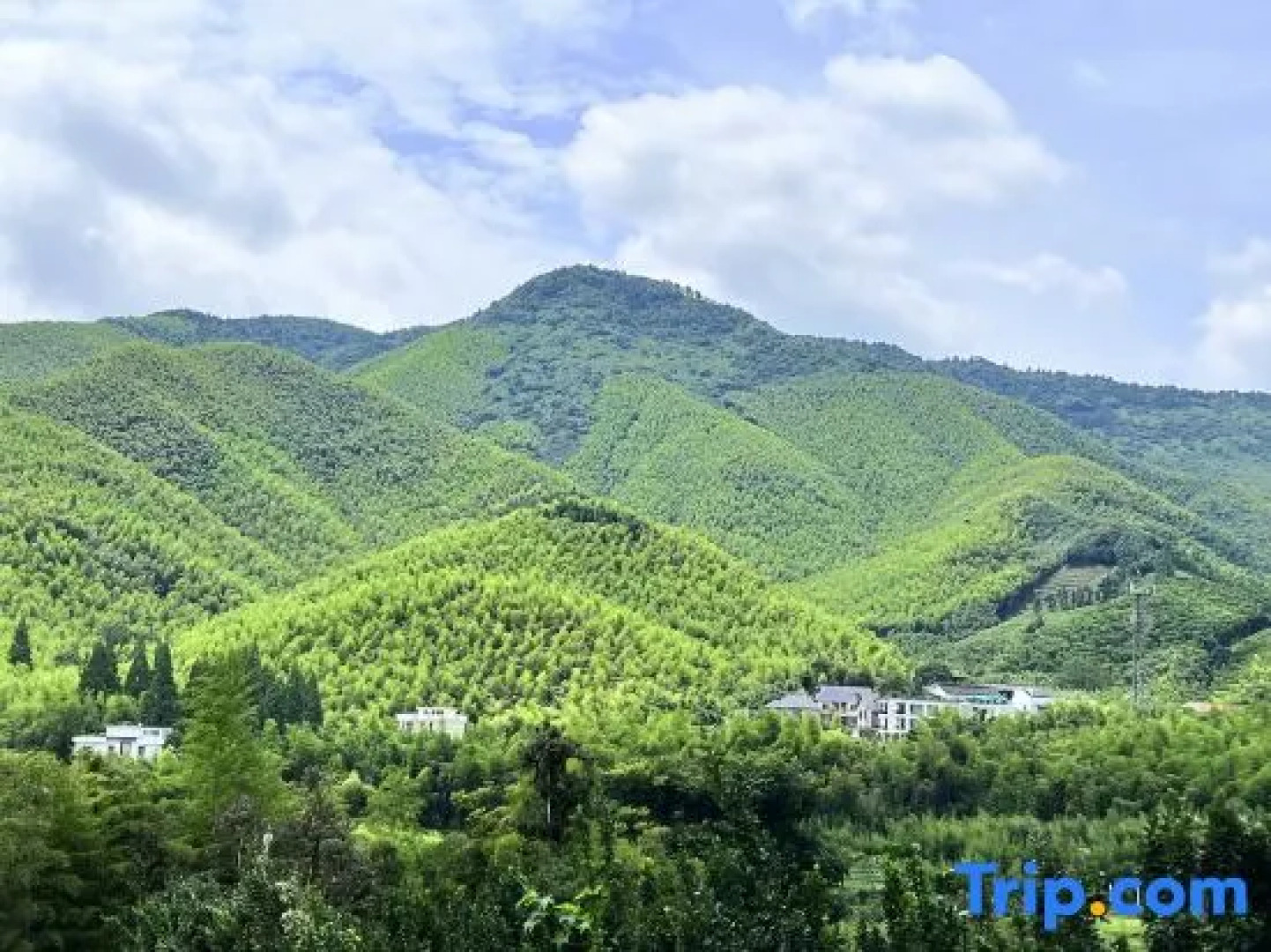 Moganshan Yufei Chinese Inn (Xiantan Village Scenic Area)