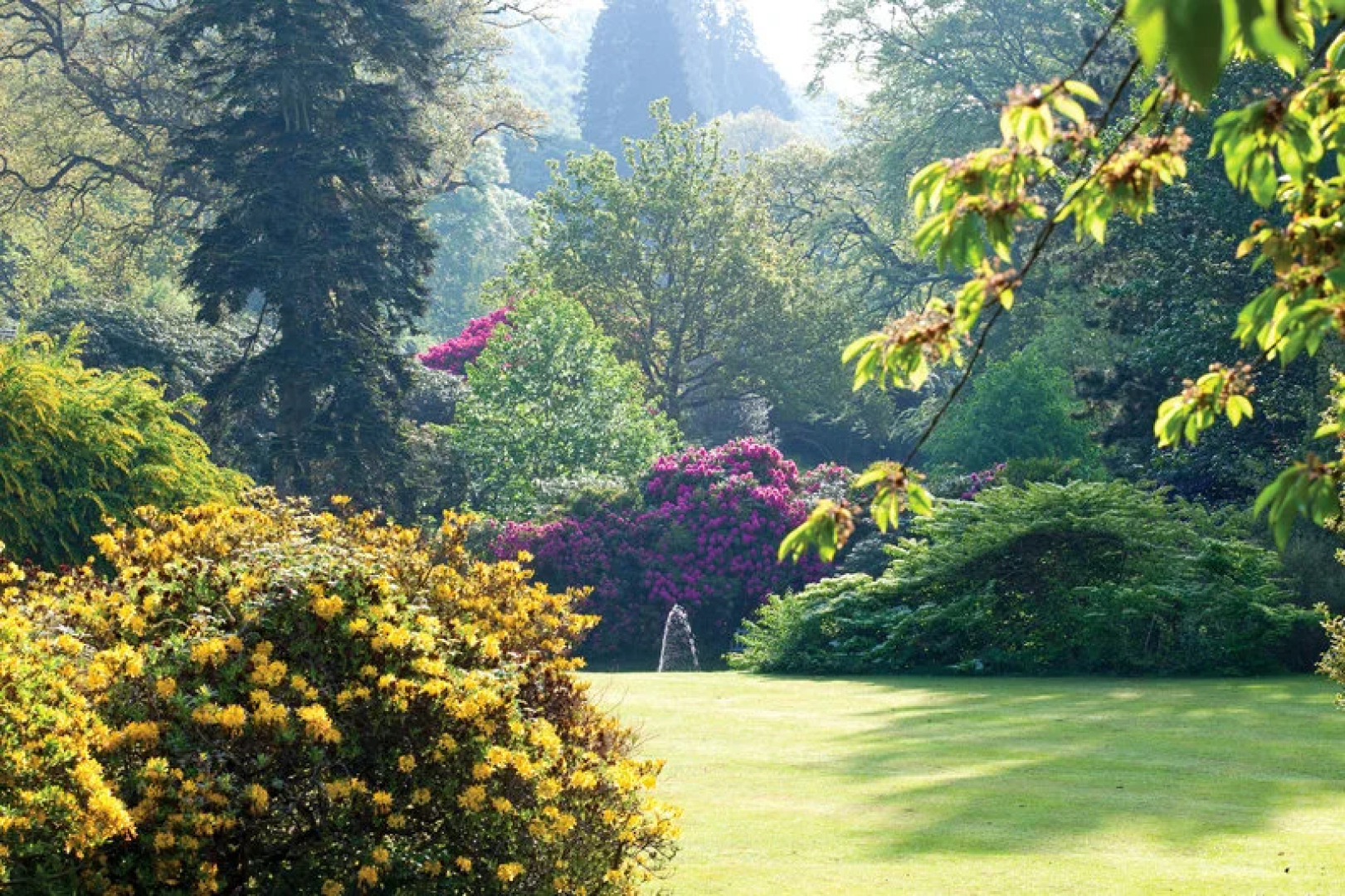 Gliffaes Country House Hotel