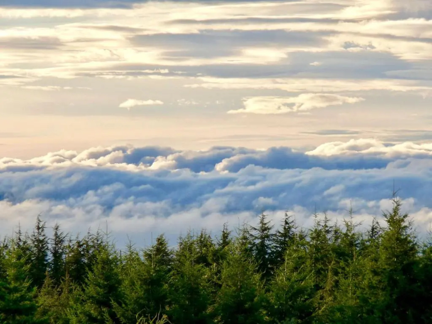 Le Domaine de la Vitarelle
