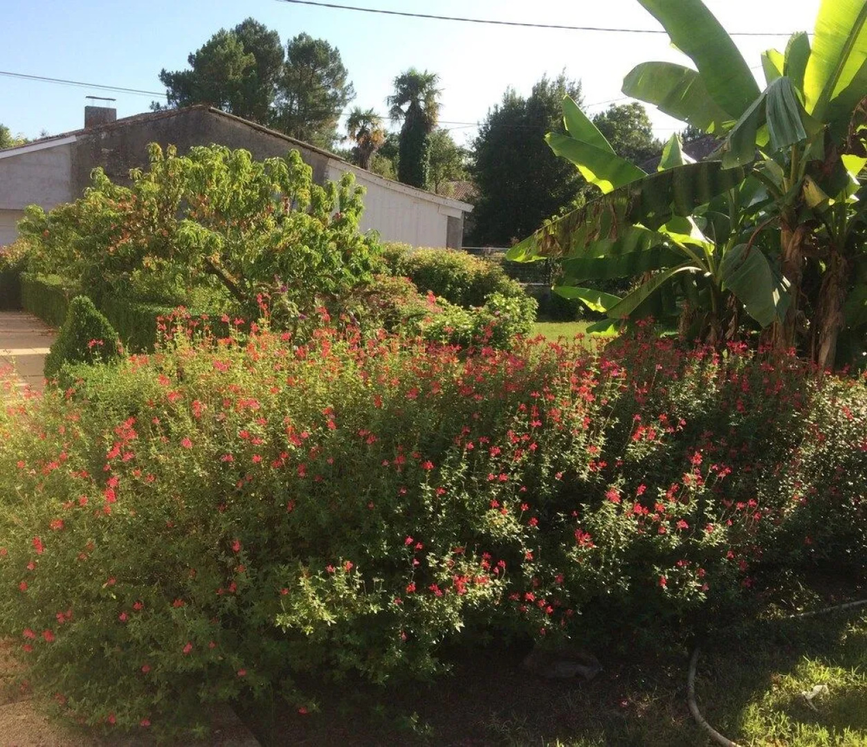 La Halte de Segondignac