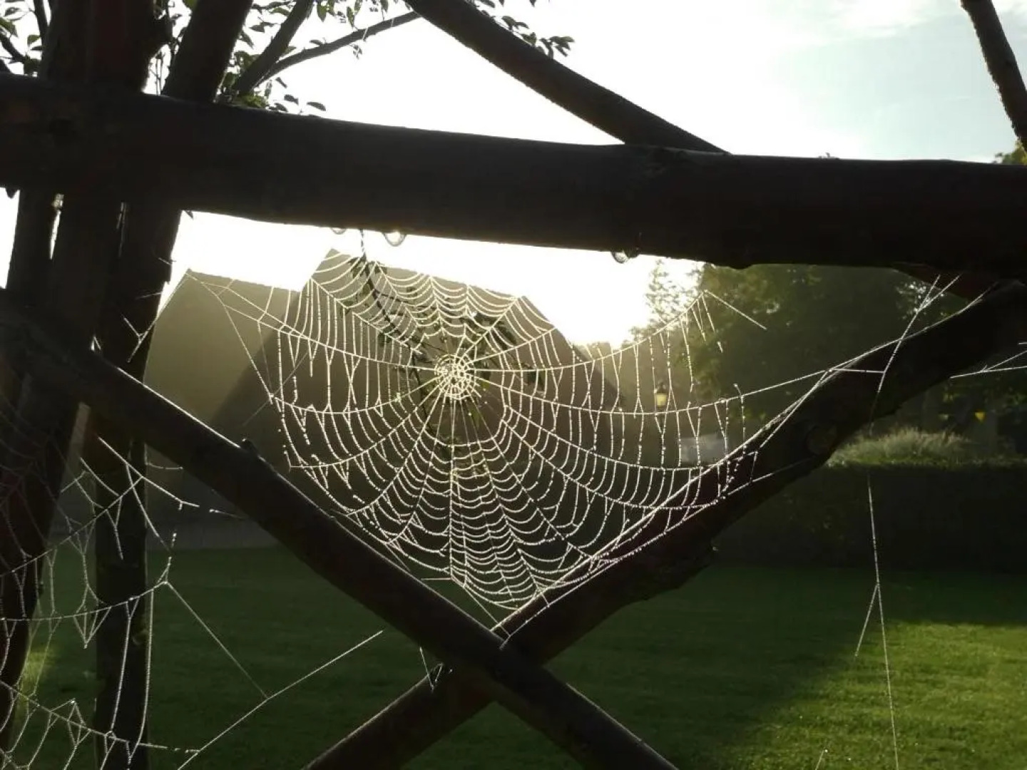 Bed And Breakfast Rodenberg