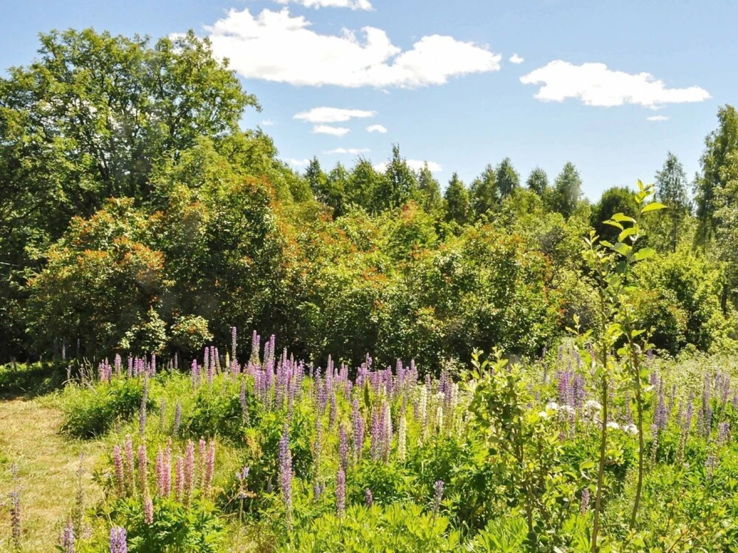 6 Person Holiday Home in Sunne