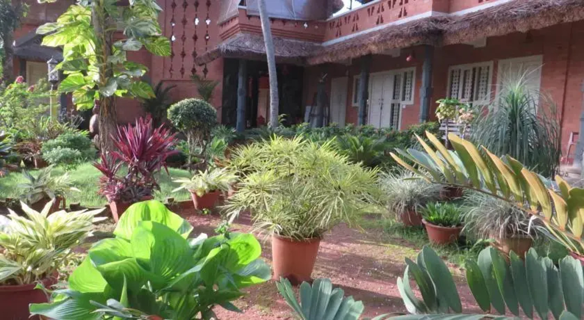 Ayurveda Healing Ashram