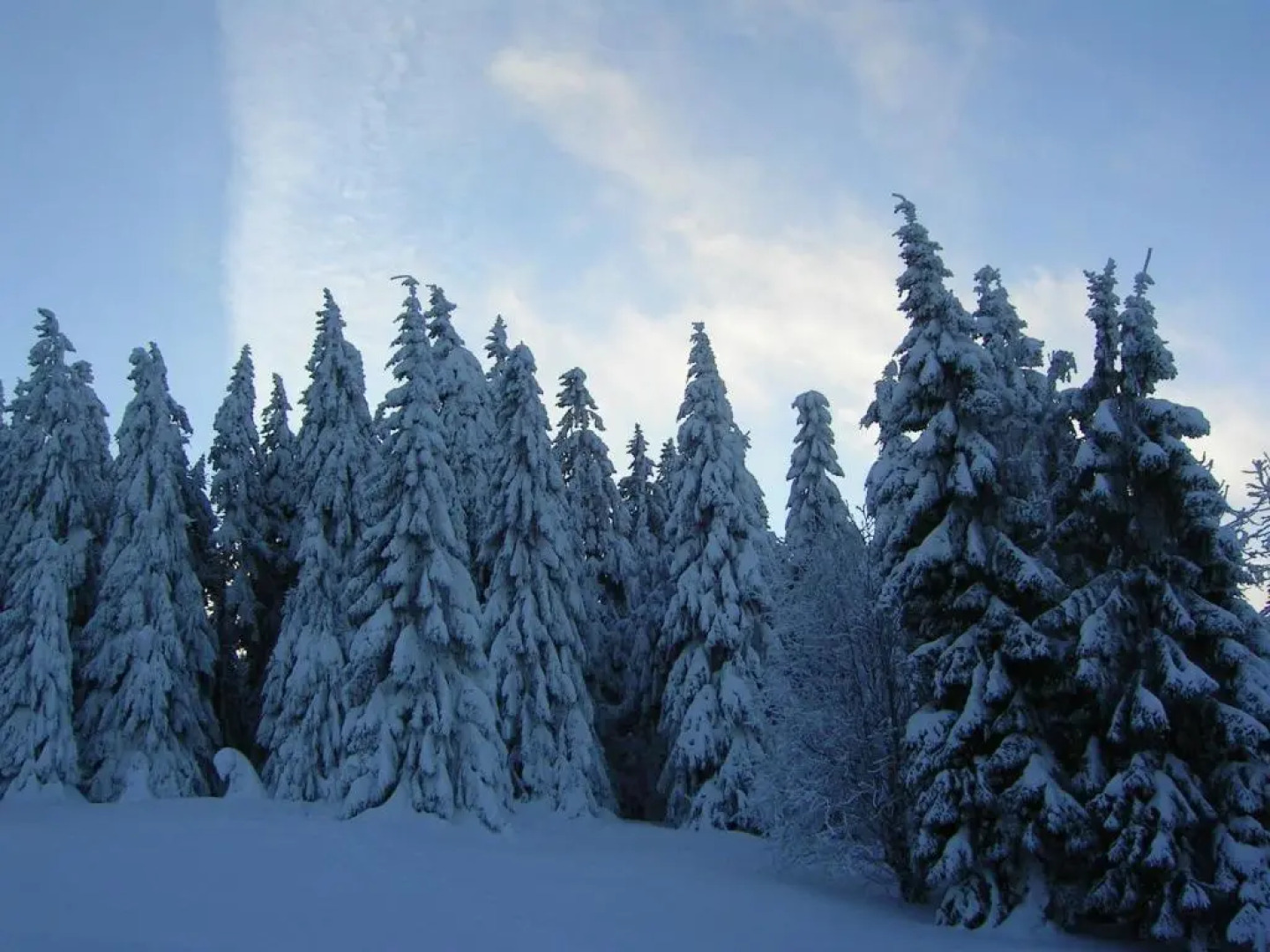Ferienwohnung im Harz Haus Bruns