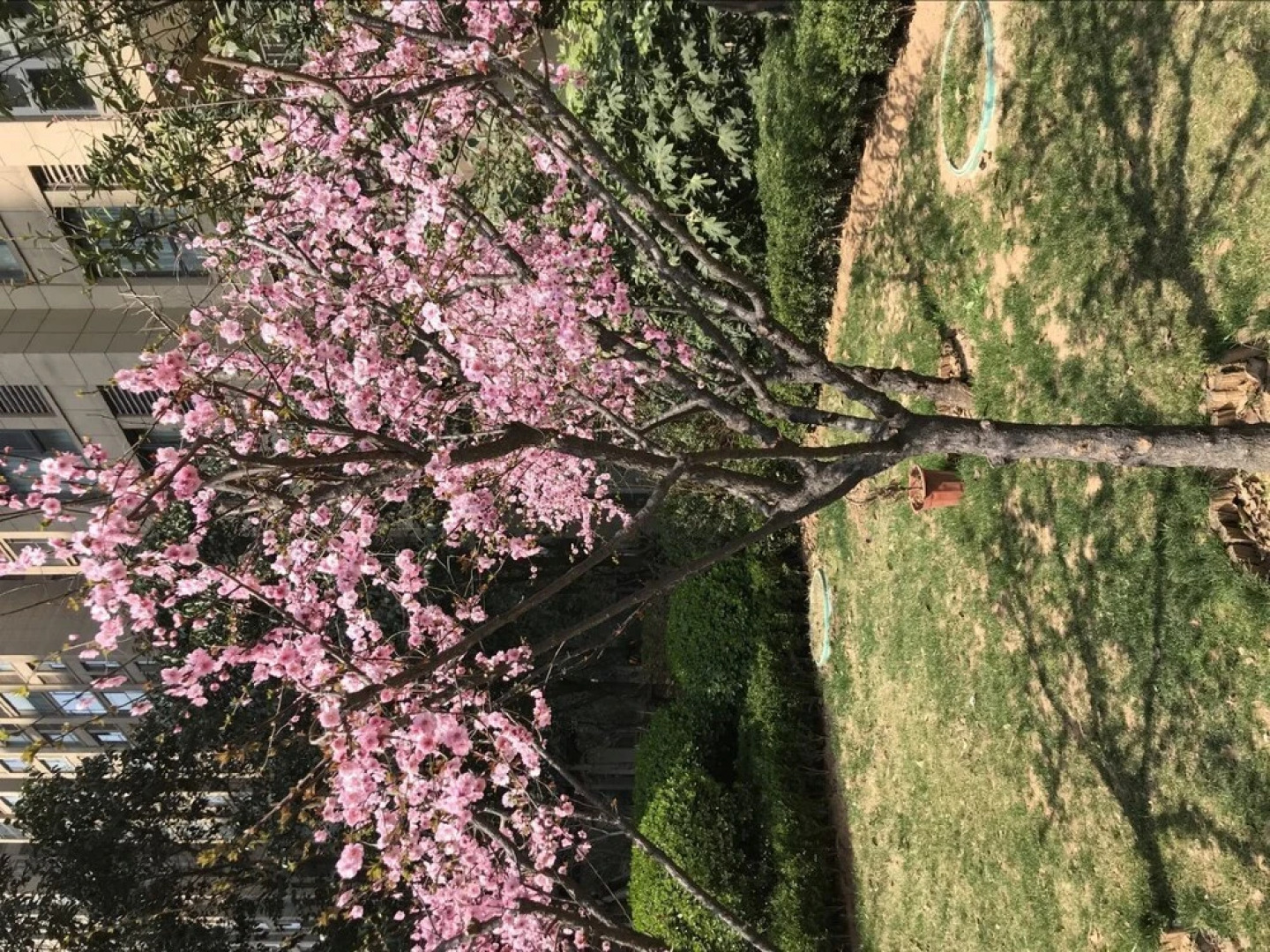 Luoyang As Home Youth Hostel