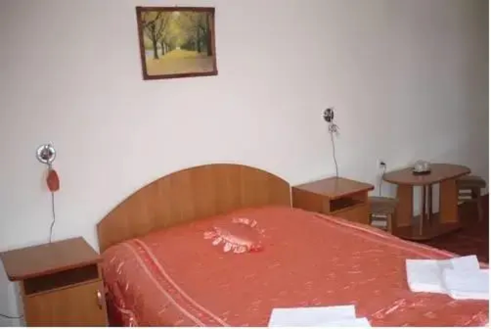 Pensiunea Iedera