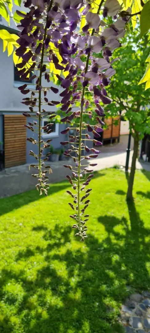 Ferienwohnung Oliver