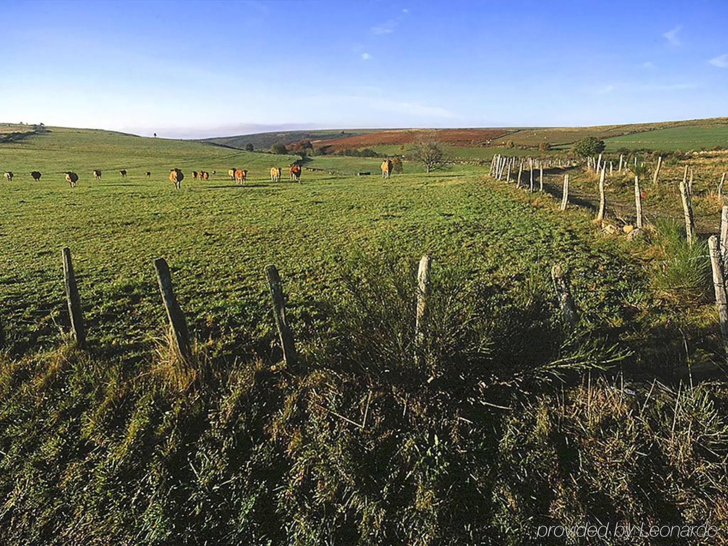 ibis Rodez Centre Cathédrale