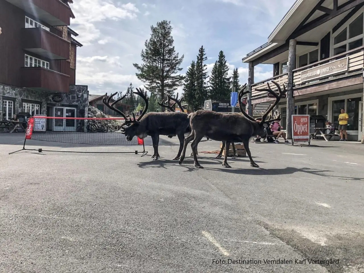Vemdalsskalet Högfjälls Apartments