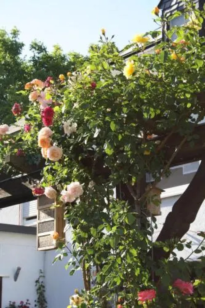 Weingut Gästehaus Rummel