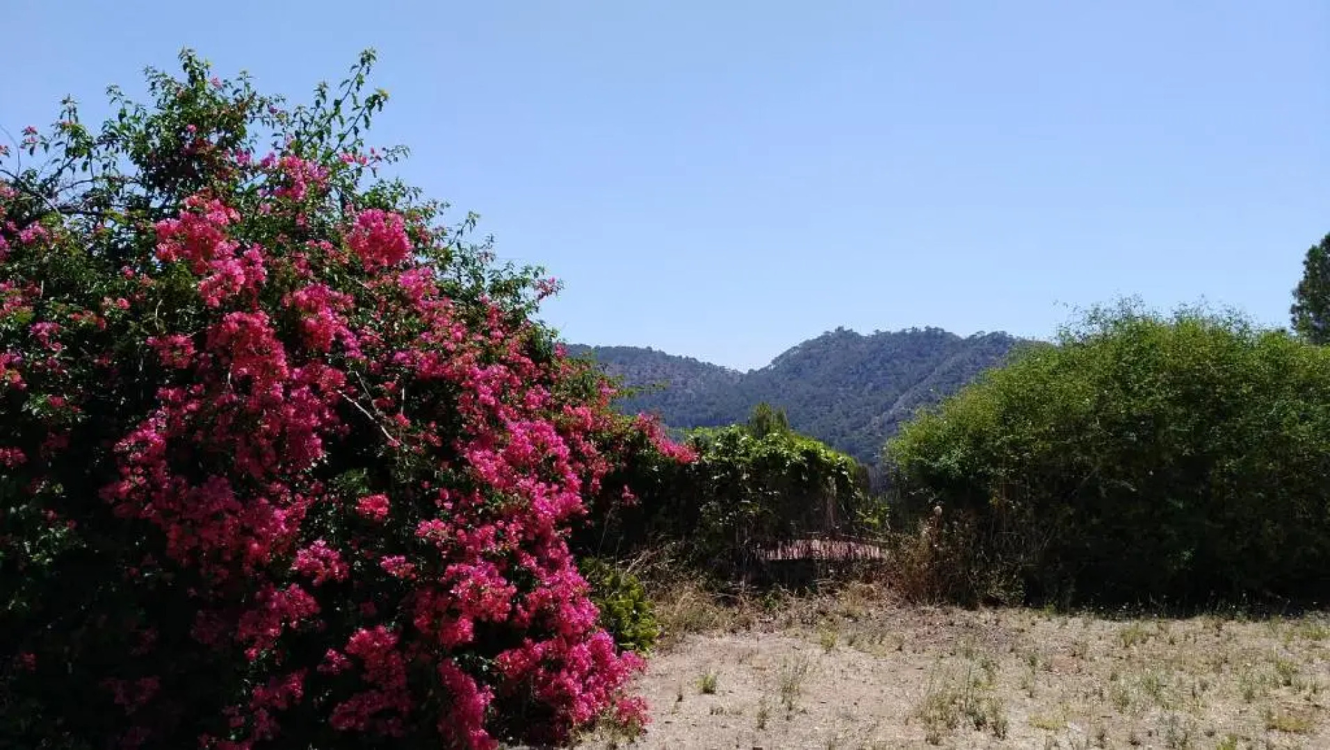 Chalet Montprats, Serra