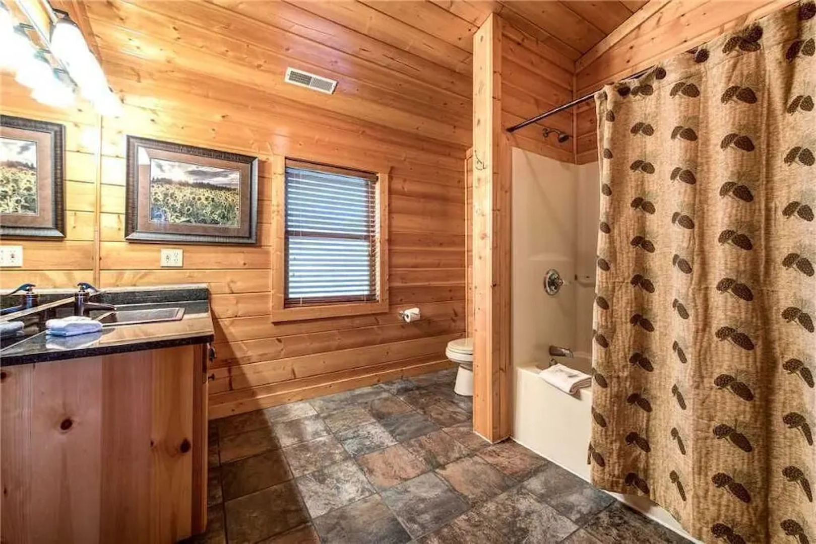 Dreamscapes 5 Bedroom Mountain View Home with Hot Tub