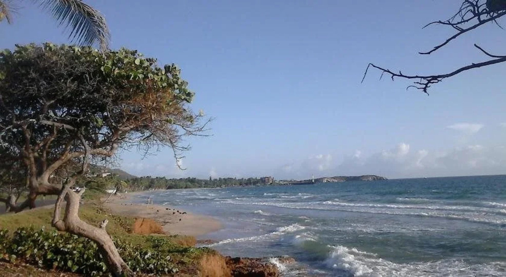 Posada Casa Las Trinitarias