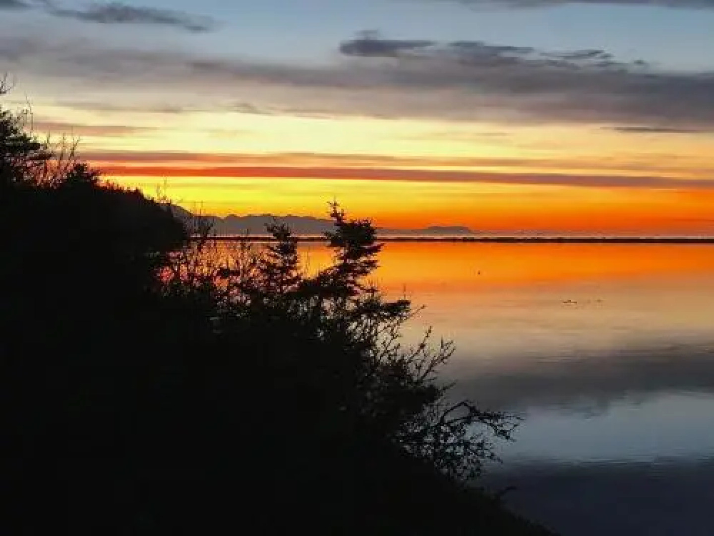 Dungeness Barn House Bed & Breakfast